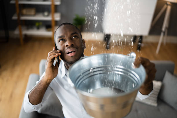 Best Local water damage restoration  in Sappington, MO