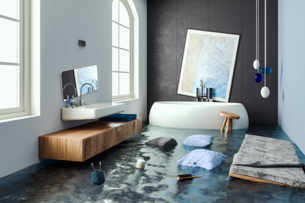 Best Water damage cleanup near me  in Sappington, MO