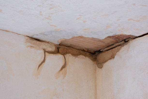 Best Water damage restoration near me  in Sappington, MO