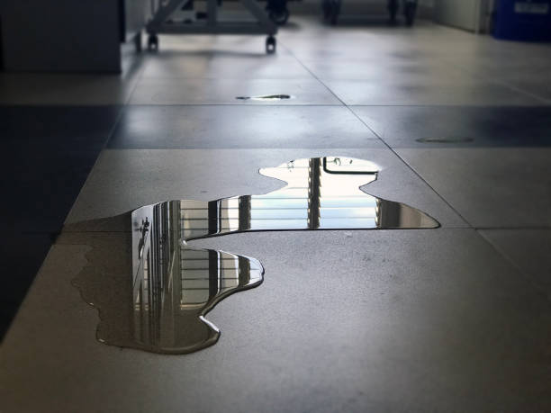 Best Water damage restoration experts  in Sappington, MO