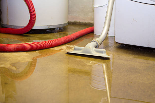 Water damage restoration process in MO