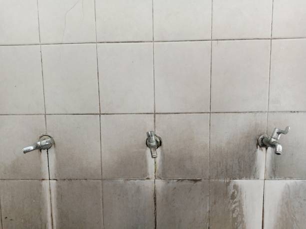 Best Sewage cleanup and water damage restoration  in Sappington, MO