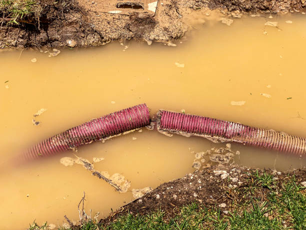 Best Residential water damage restoration  in Sappington, MO